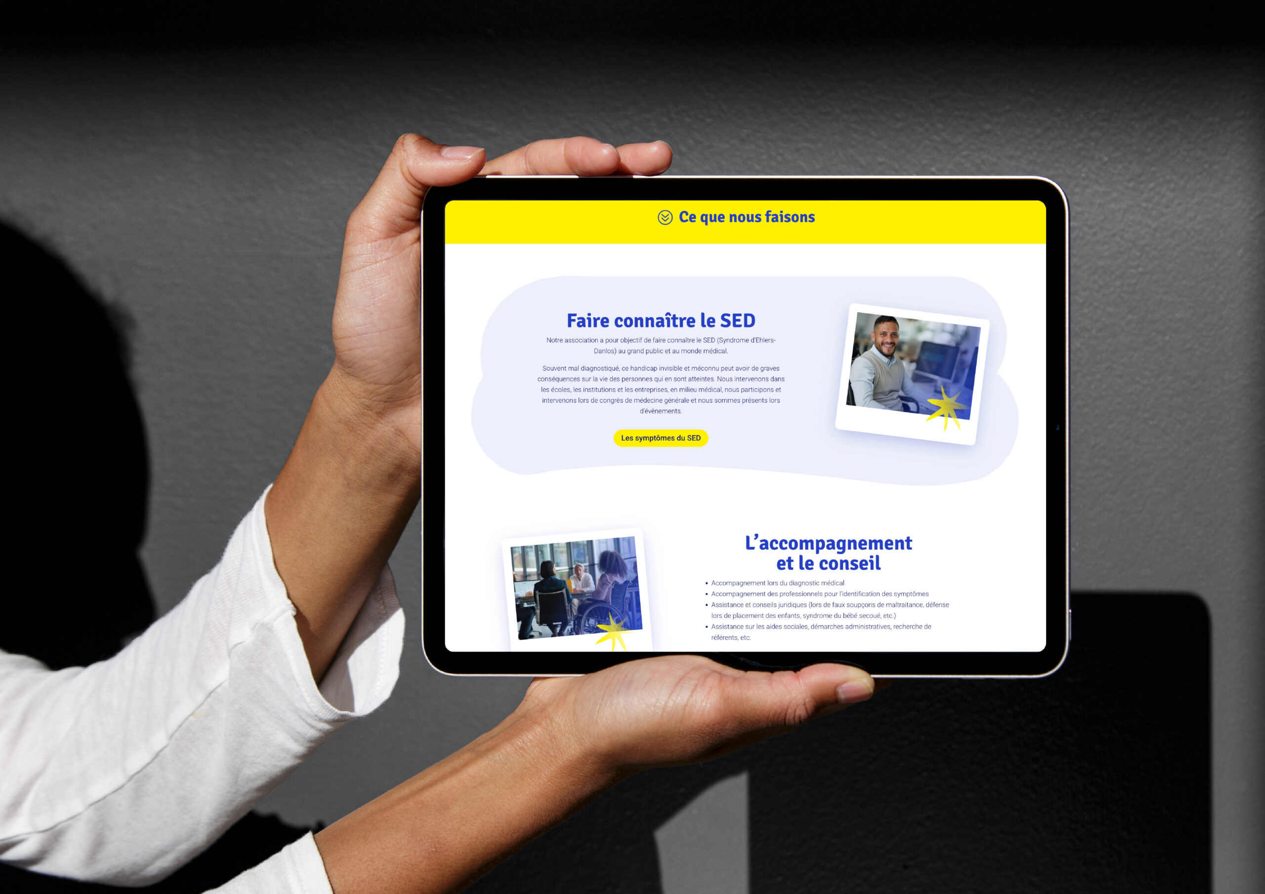 presentation web sed_2